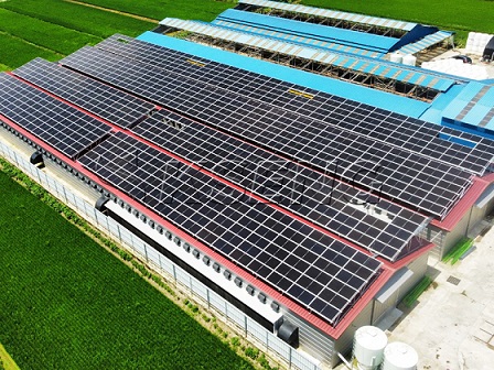 400KW - Solução Solar Rooftop na Coréia