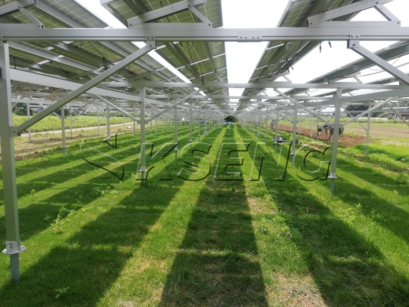 Um artigo sobre sistemas fotovoltaicos agrícolas complementares