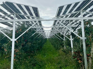 Projeto de suporte agrícola de fazenda solar de 3 MW na Alemanha