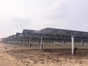 Optimizing Solar Energy: 1.2MW Single Axis Solar Tracking System Installation